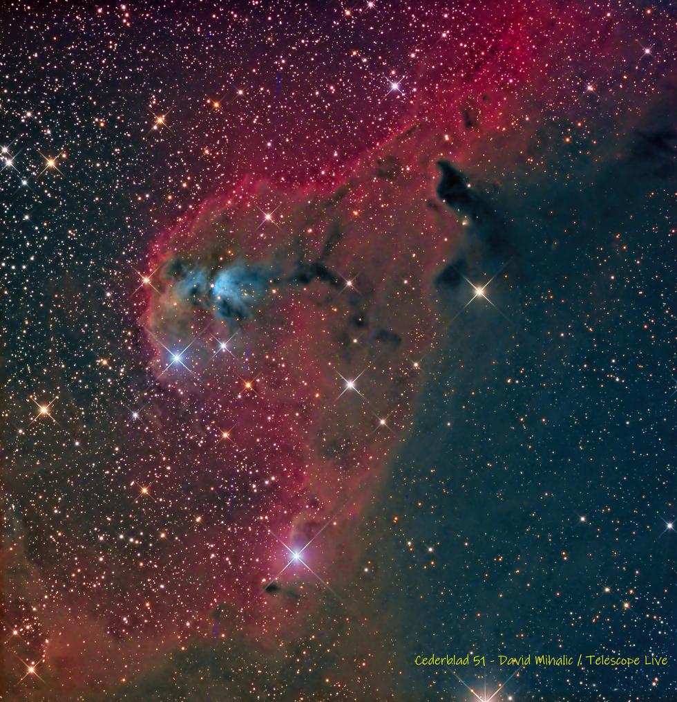 Cederblad 51 in Orion