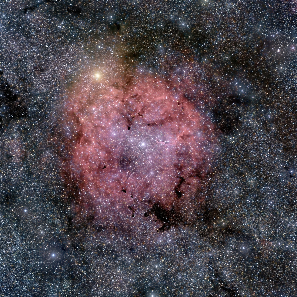 IC1396, the Elephant Trunk