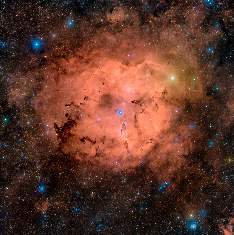 The Elephant's Trunk Nebula