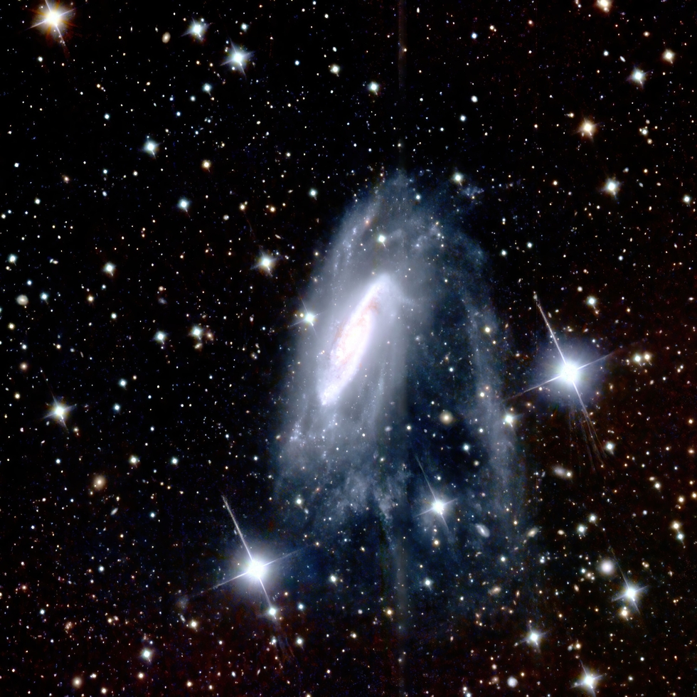 NGC3981