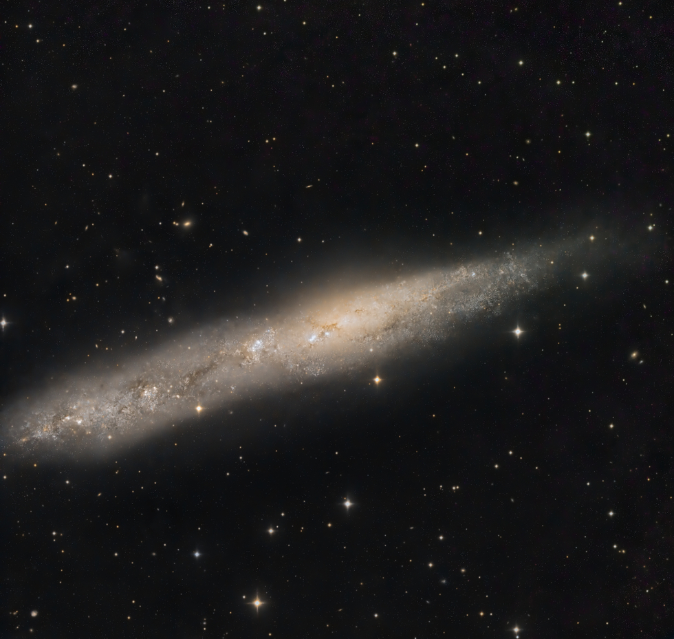 NGC 55