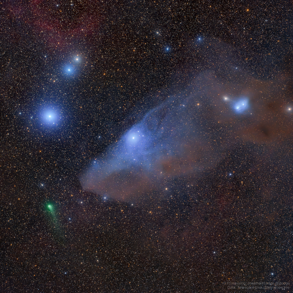 The Blue Horsehead Nebula IC 4592 and Comet C/2017 K2