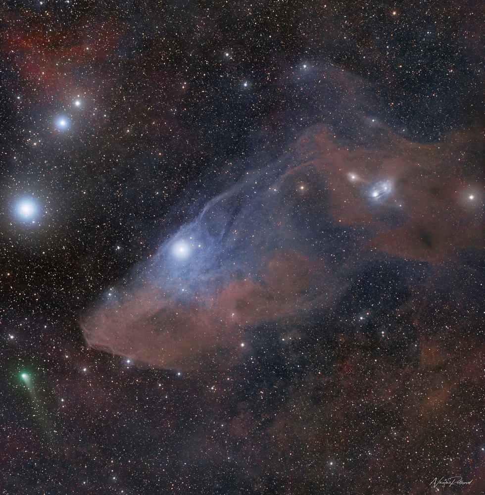 C2017 K2 and the Blue Horse Head Nebula