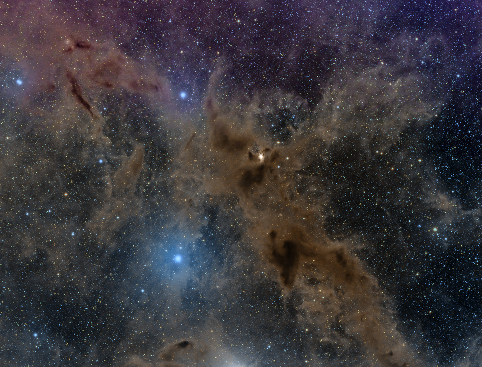 Dark Wolf Nebula
