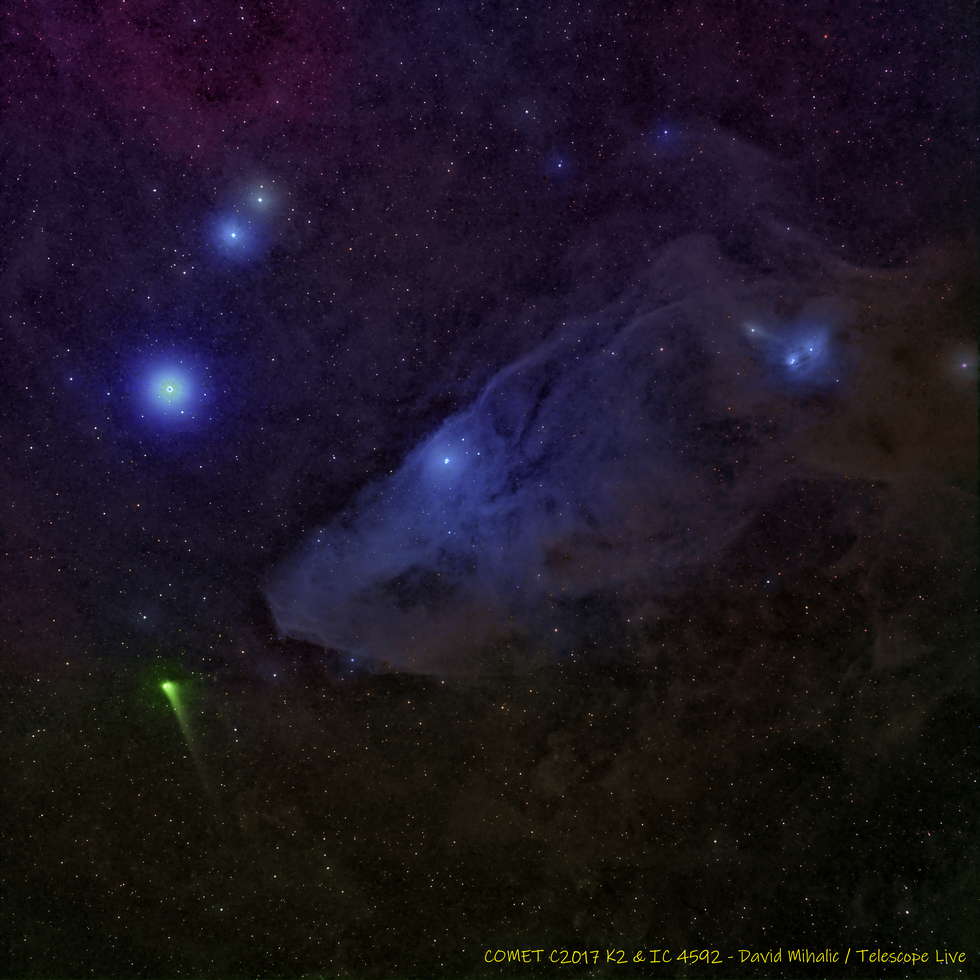 COMET C2017 K2 & THE BLUE HORSEHEAD NEBULA