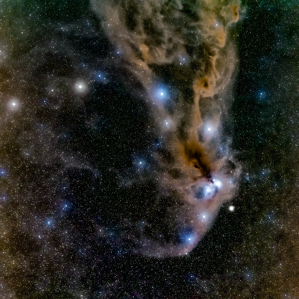 Corona Australis Molecular Complex