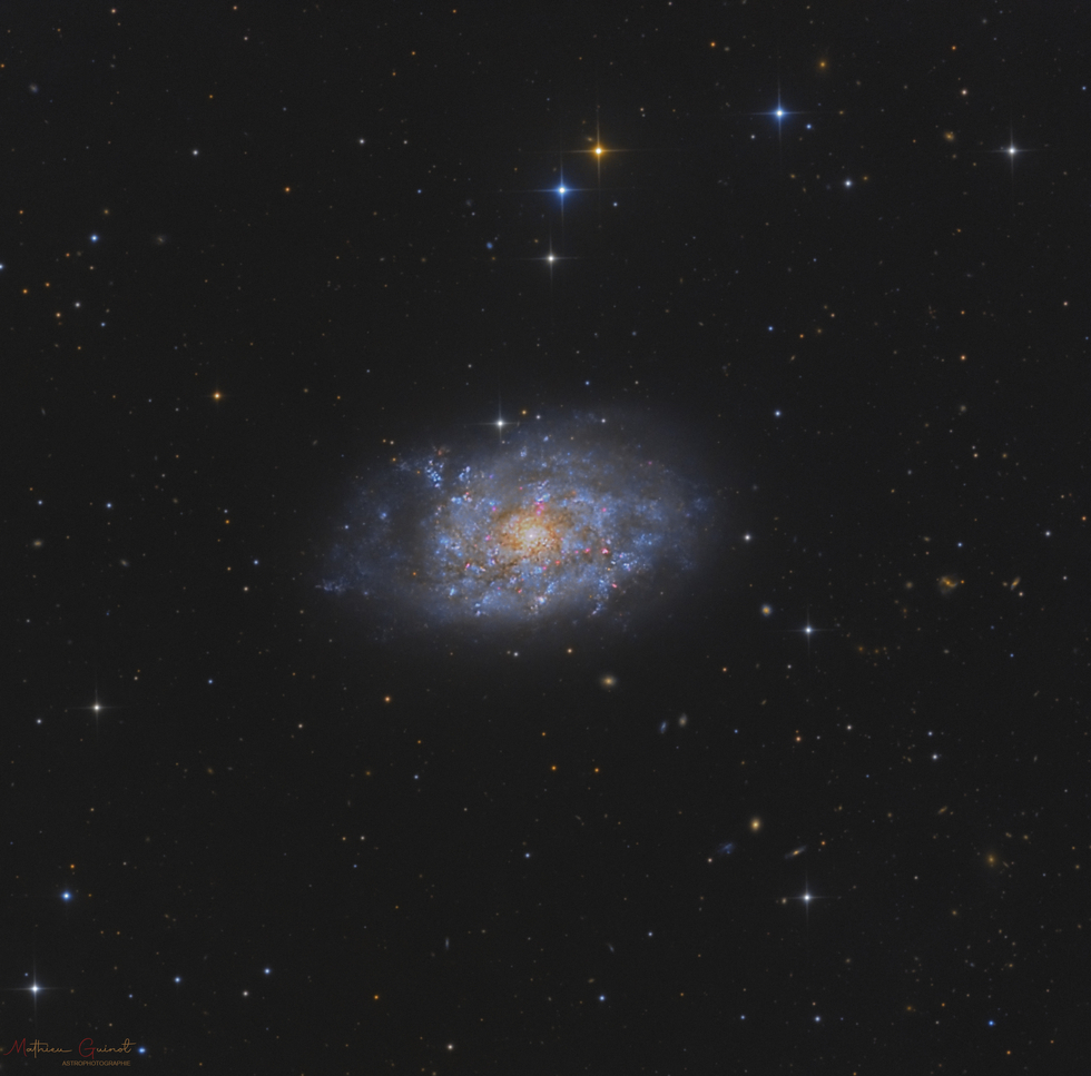 NGC 7793 CHI-1 Bundle