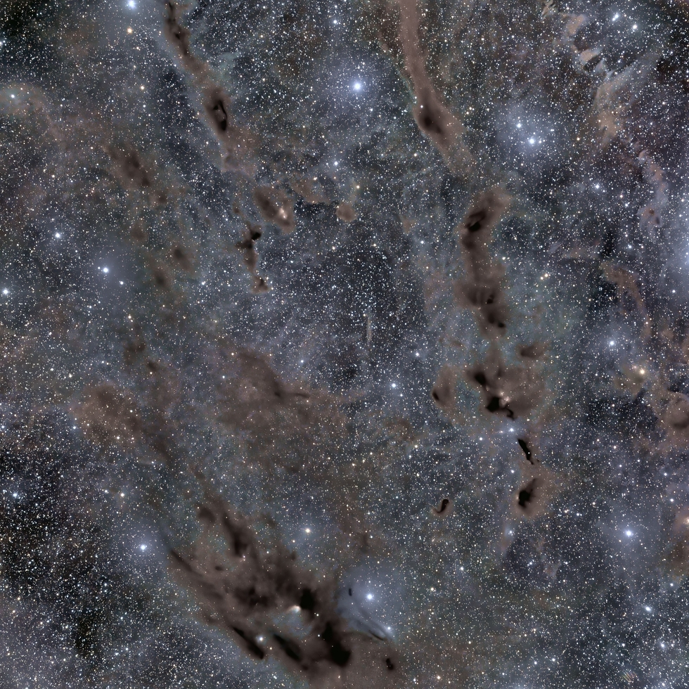B22, Ced33, DG37, and IC2087