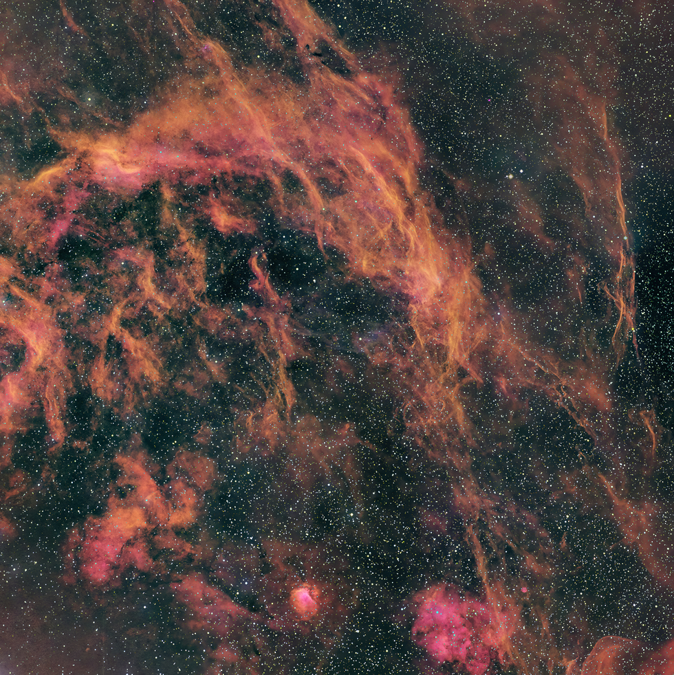 Cygnus North