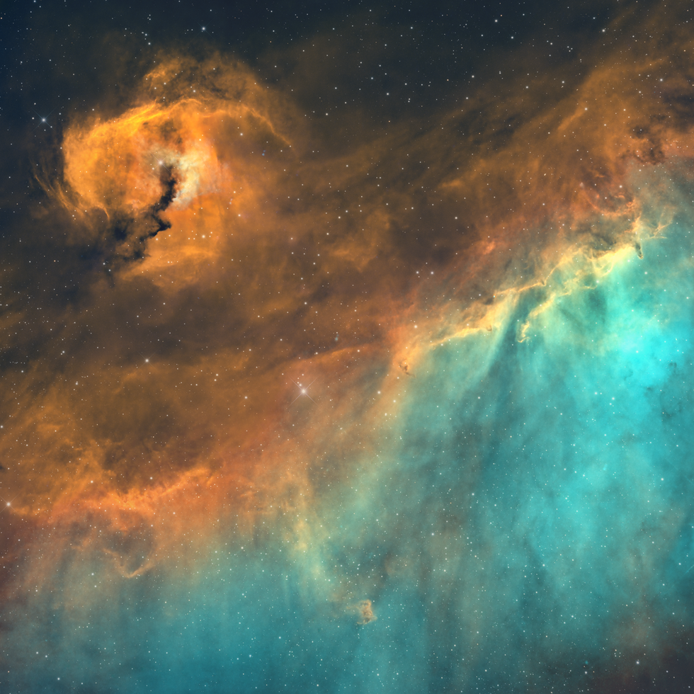 IC 2177 - The Seagull Nebula