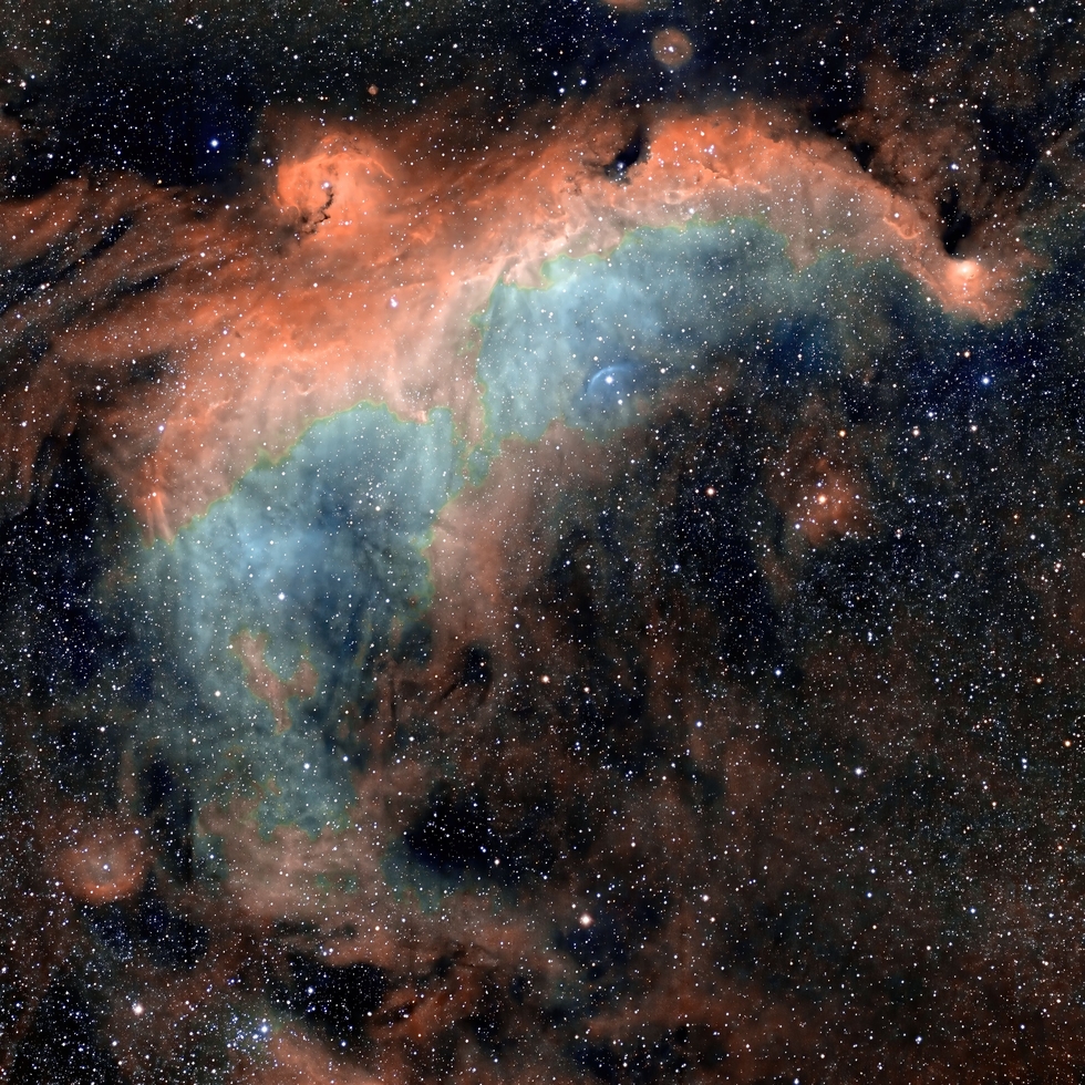 The Seagull Nebula IC2177