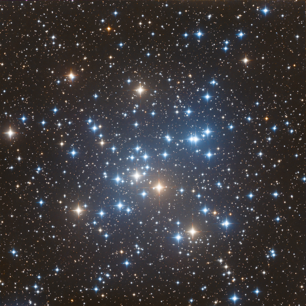 M41