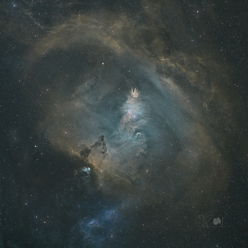 NGC 2264