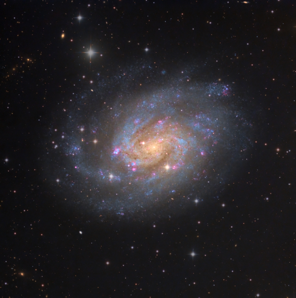 NGC300