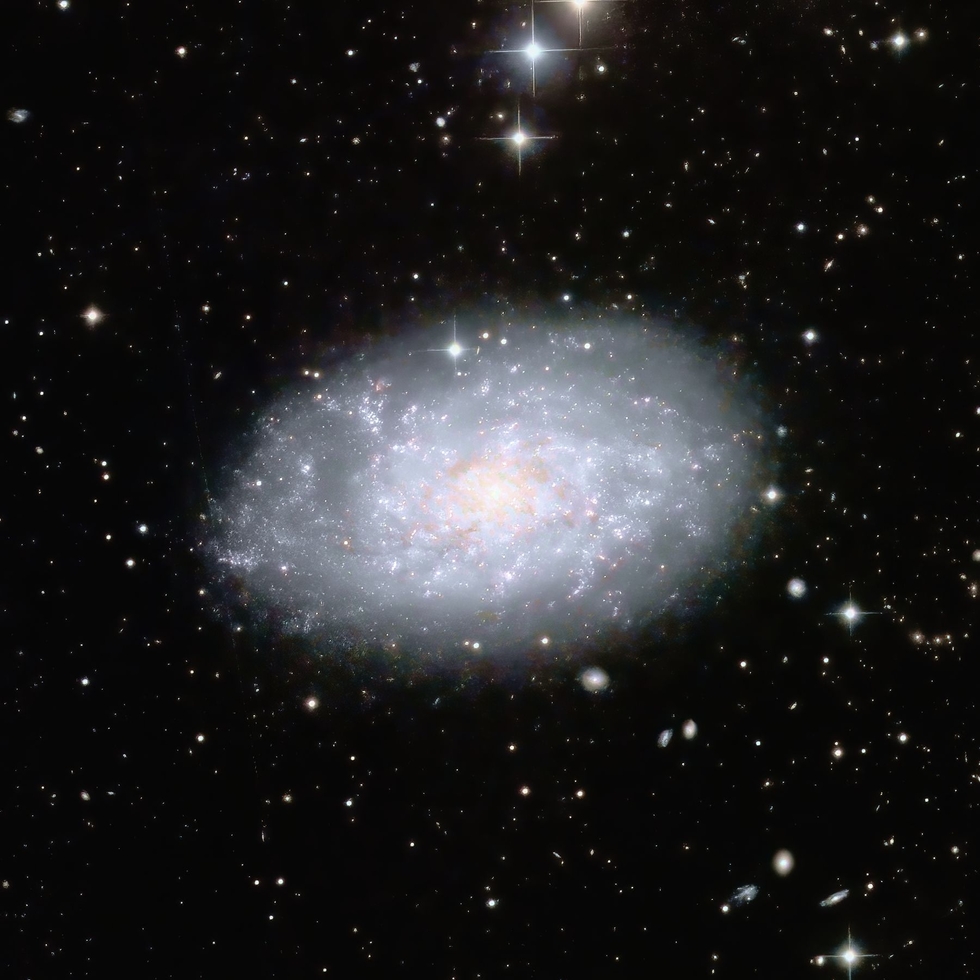 NGC7793