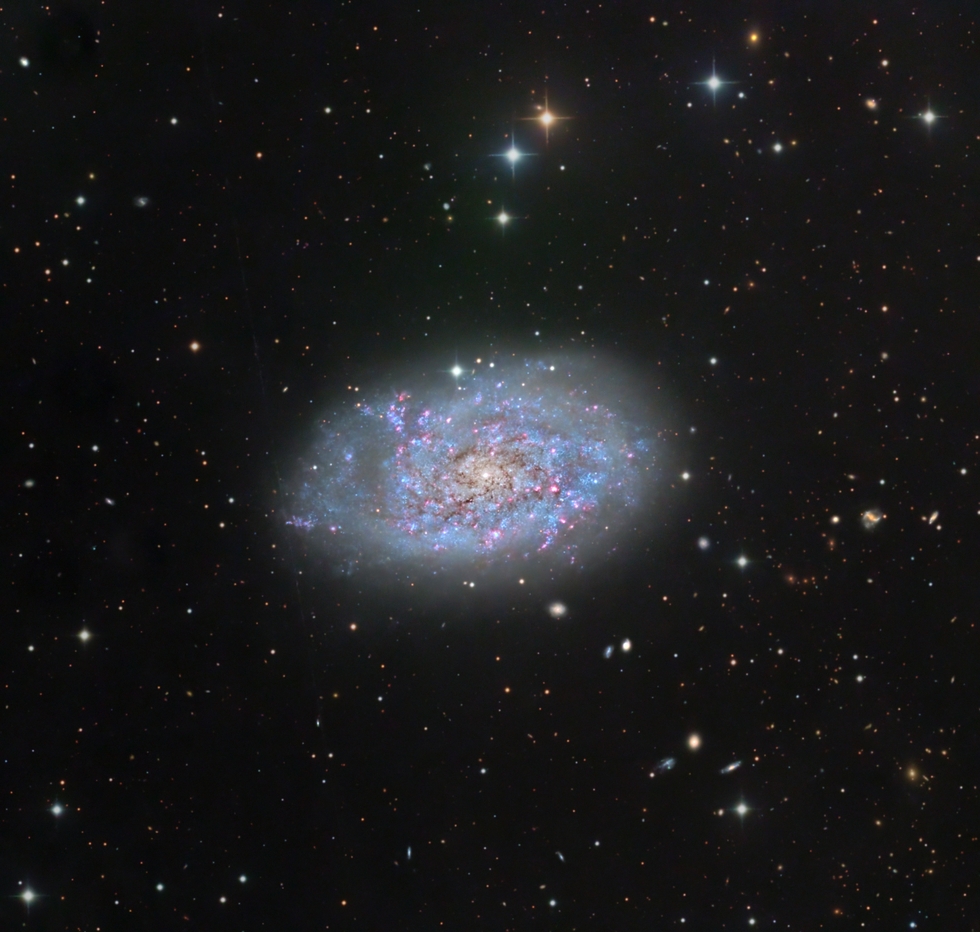 NGC7793