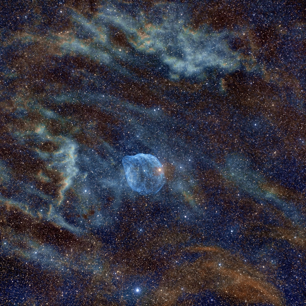 The Dolphin Nebula Sh-308 with Sh2-303 and 304