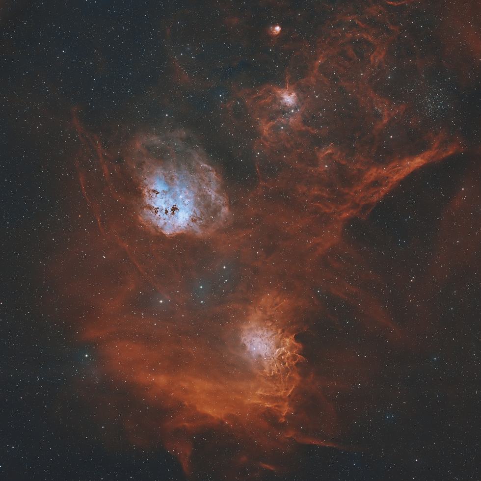 Auriga Quartet