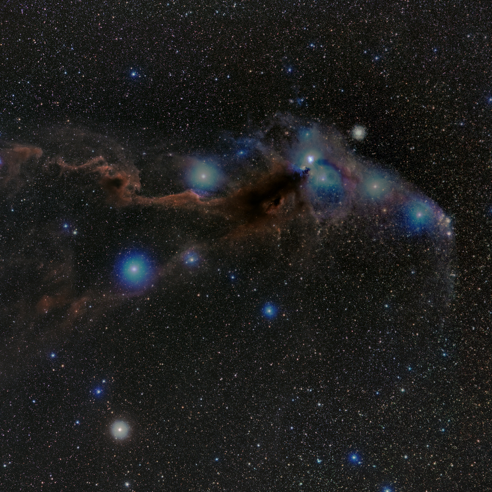 Corona Australis Molecular Cloud 