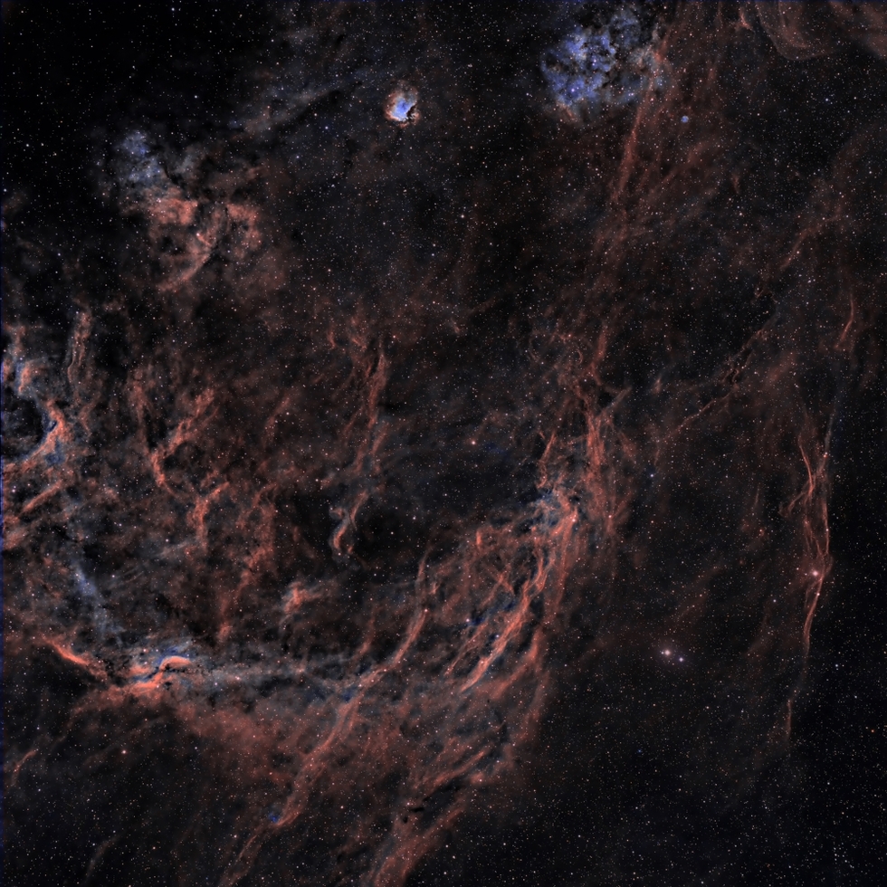 Cygnus North