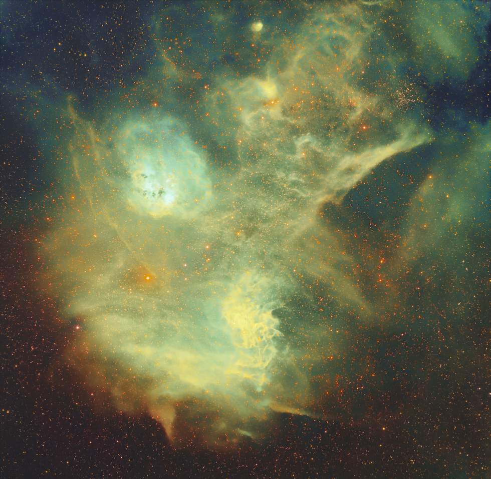 Flaming Star and Tadpoles Nebulae