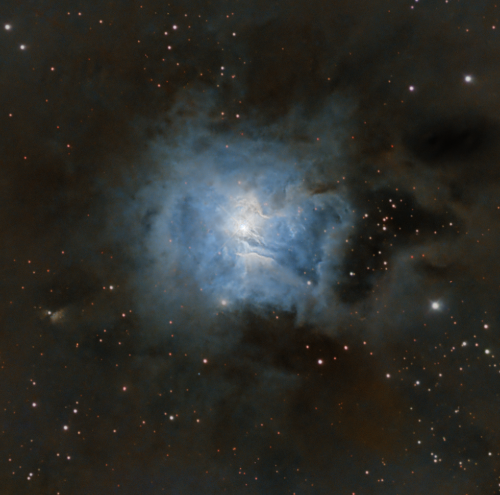 NGC 7023 THE IRIS NEBULA | Telescope Live