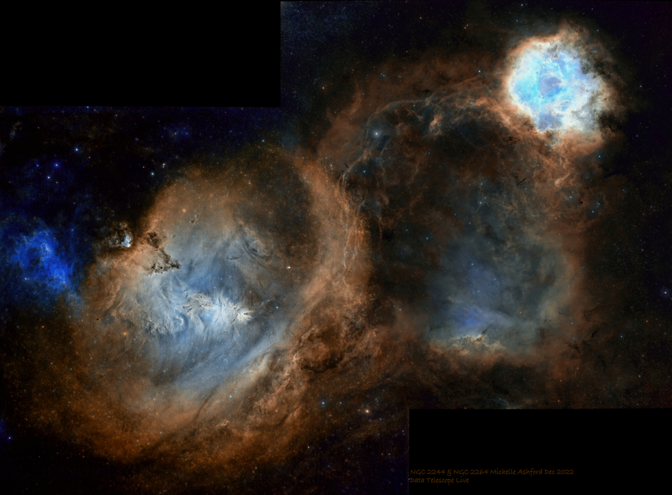 Cone and Rosette Mosaic