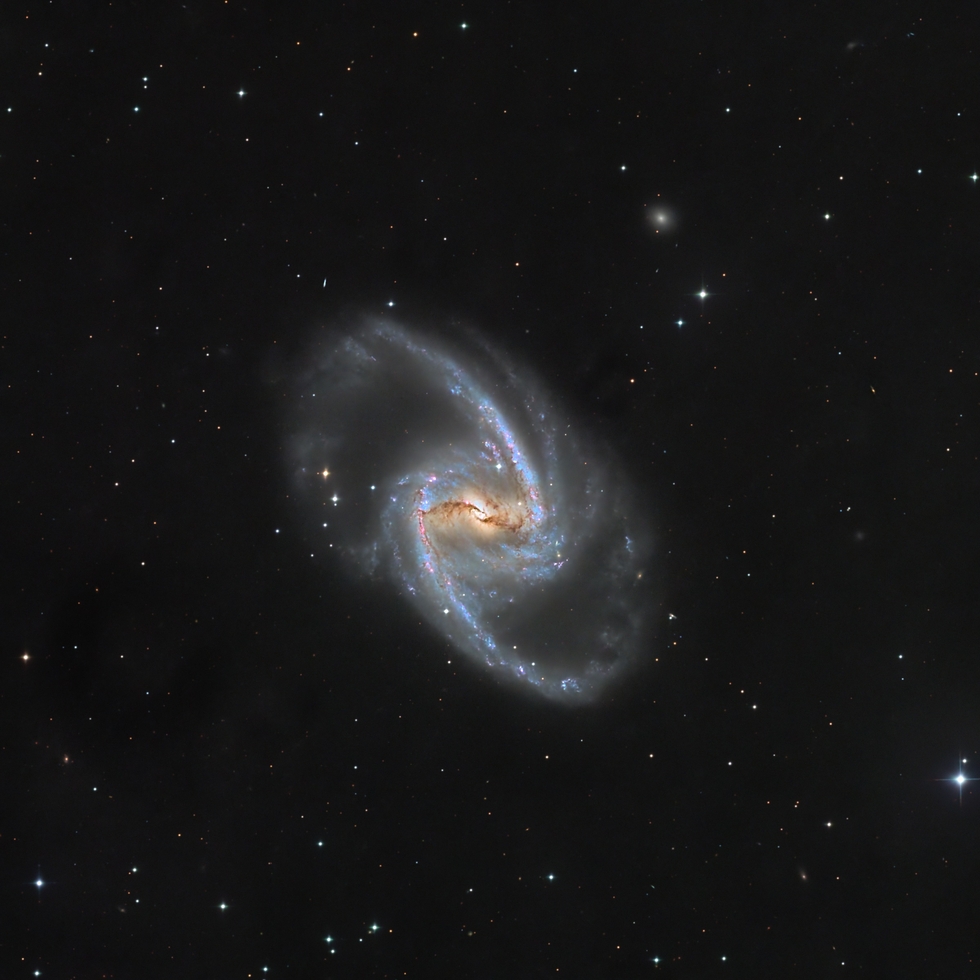 NGC1365