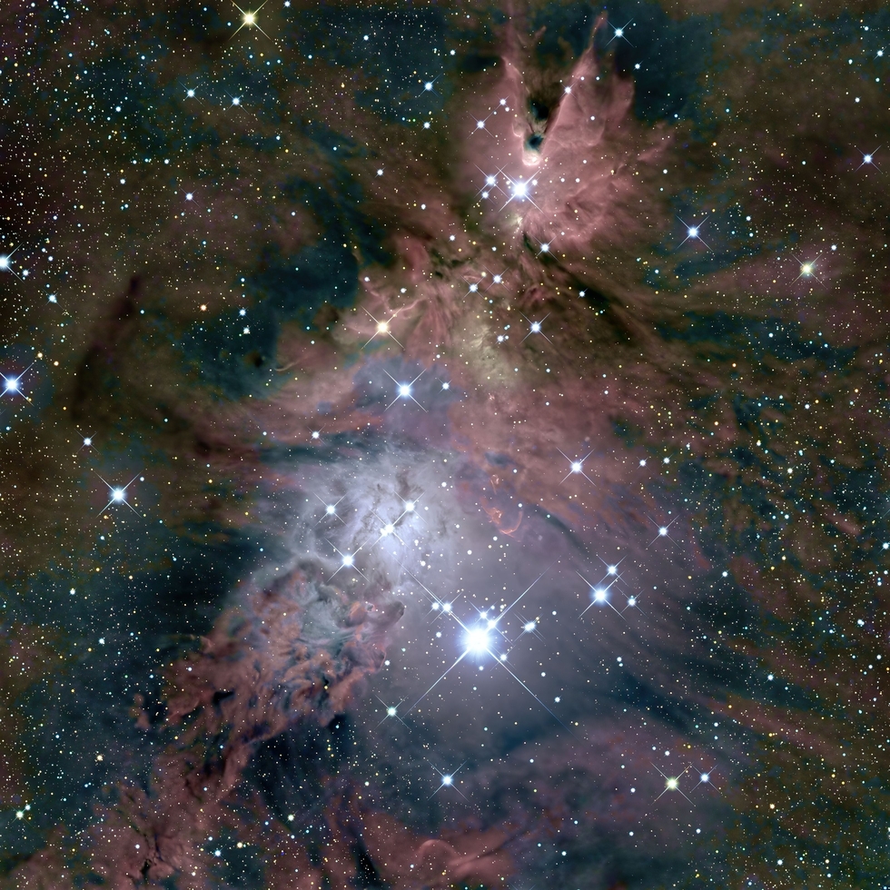 The Christmas Tree Cluster and Cone Nebula