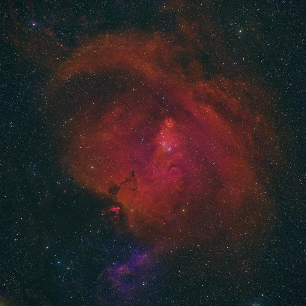 NGC2264, Christmas Tree