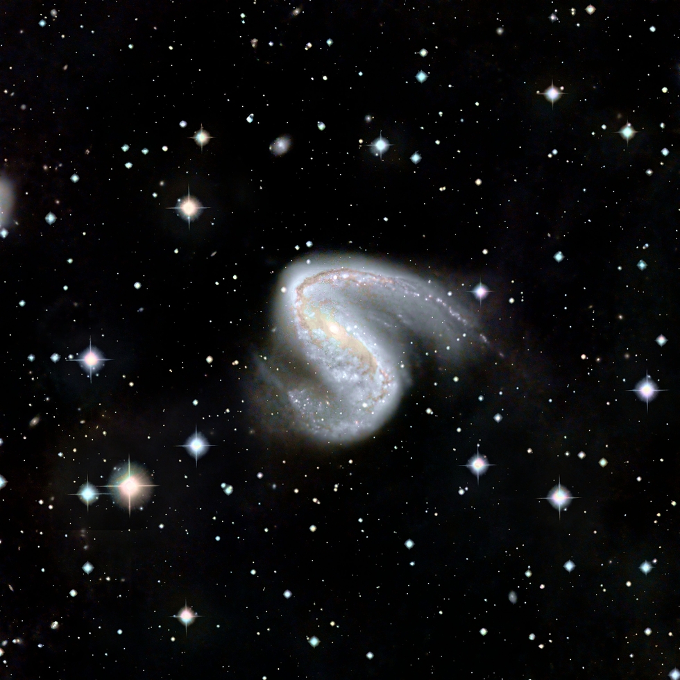 The Meat Hook Galaxy NGC2442