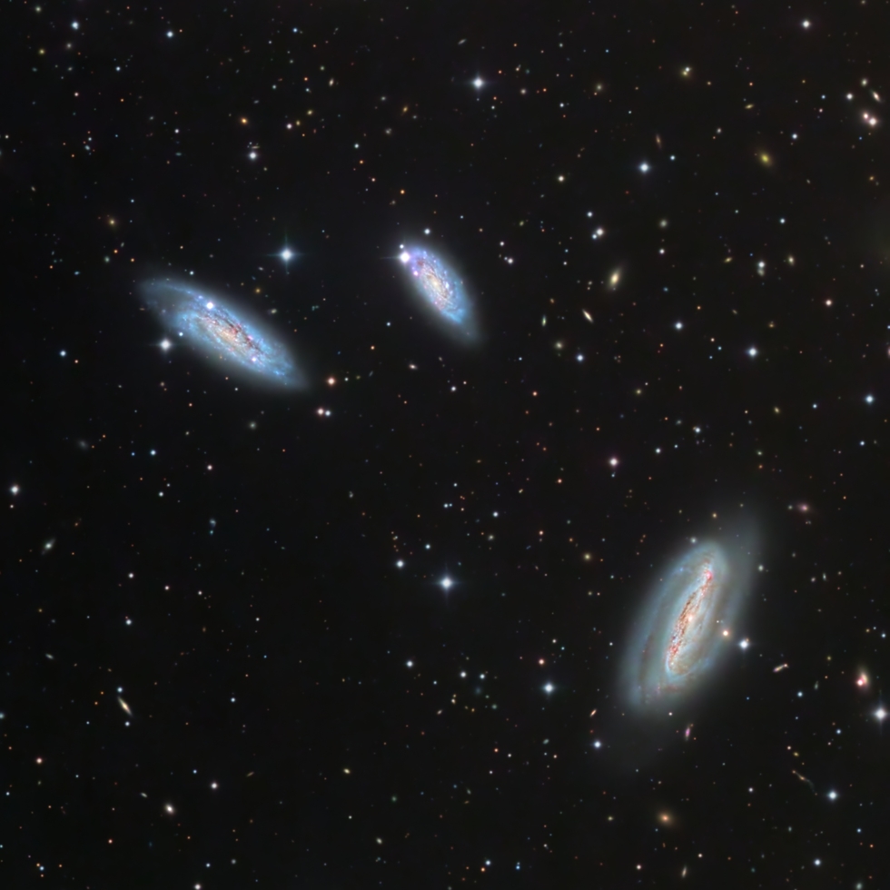 Grus Trio (NGC7582/90/99) | Telescope Live