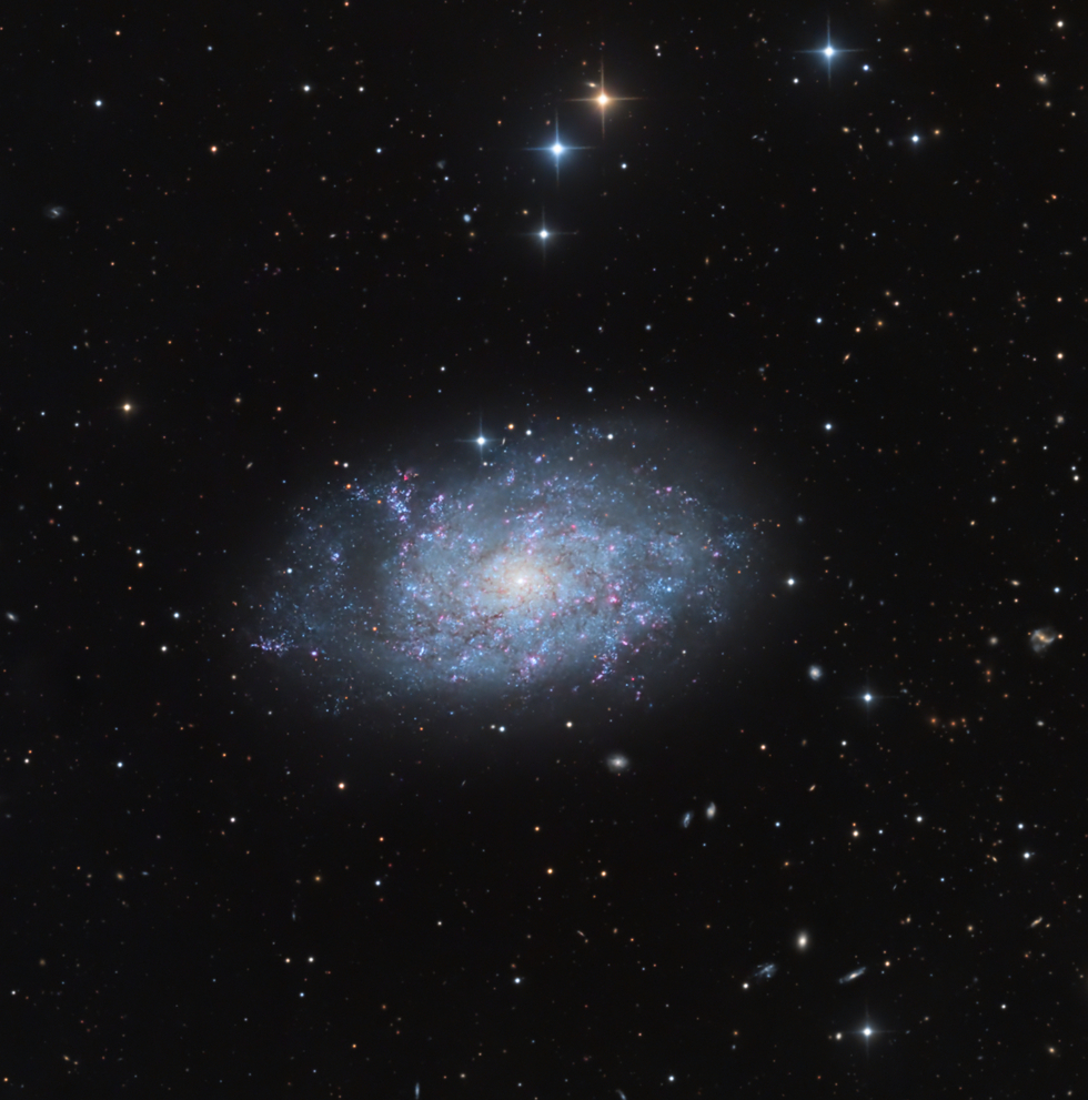 NGC 7793