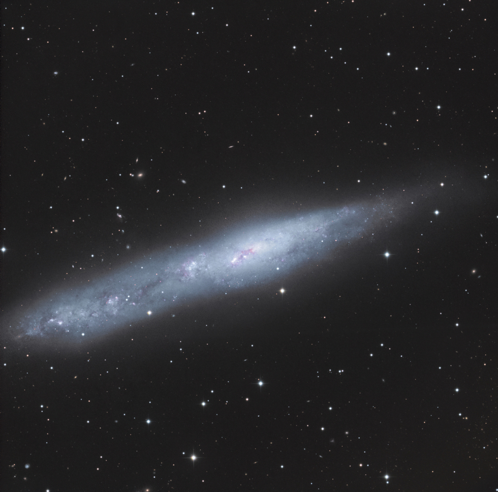 NGC 55