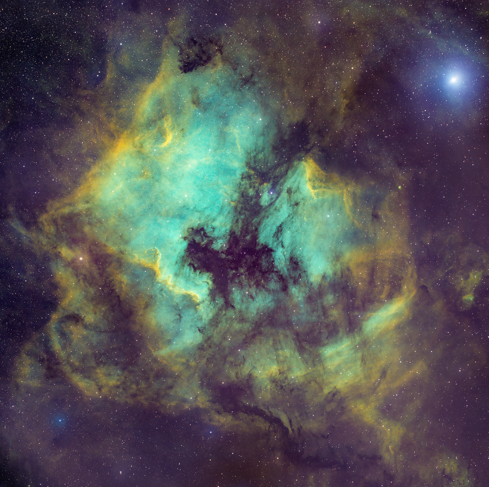 NCG 7000 and Pelican Nebula in NB