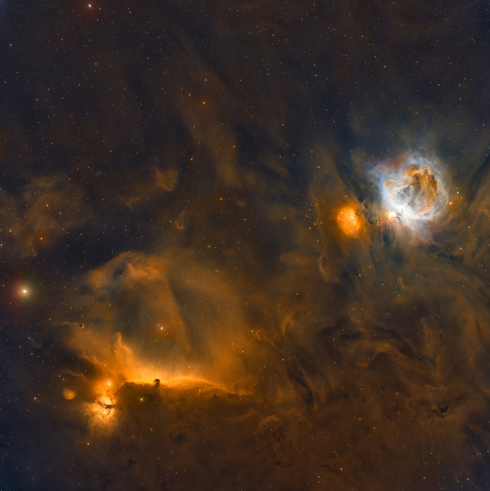 Orion Widefield