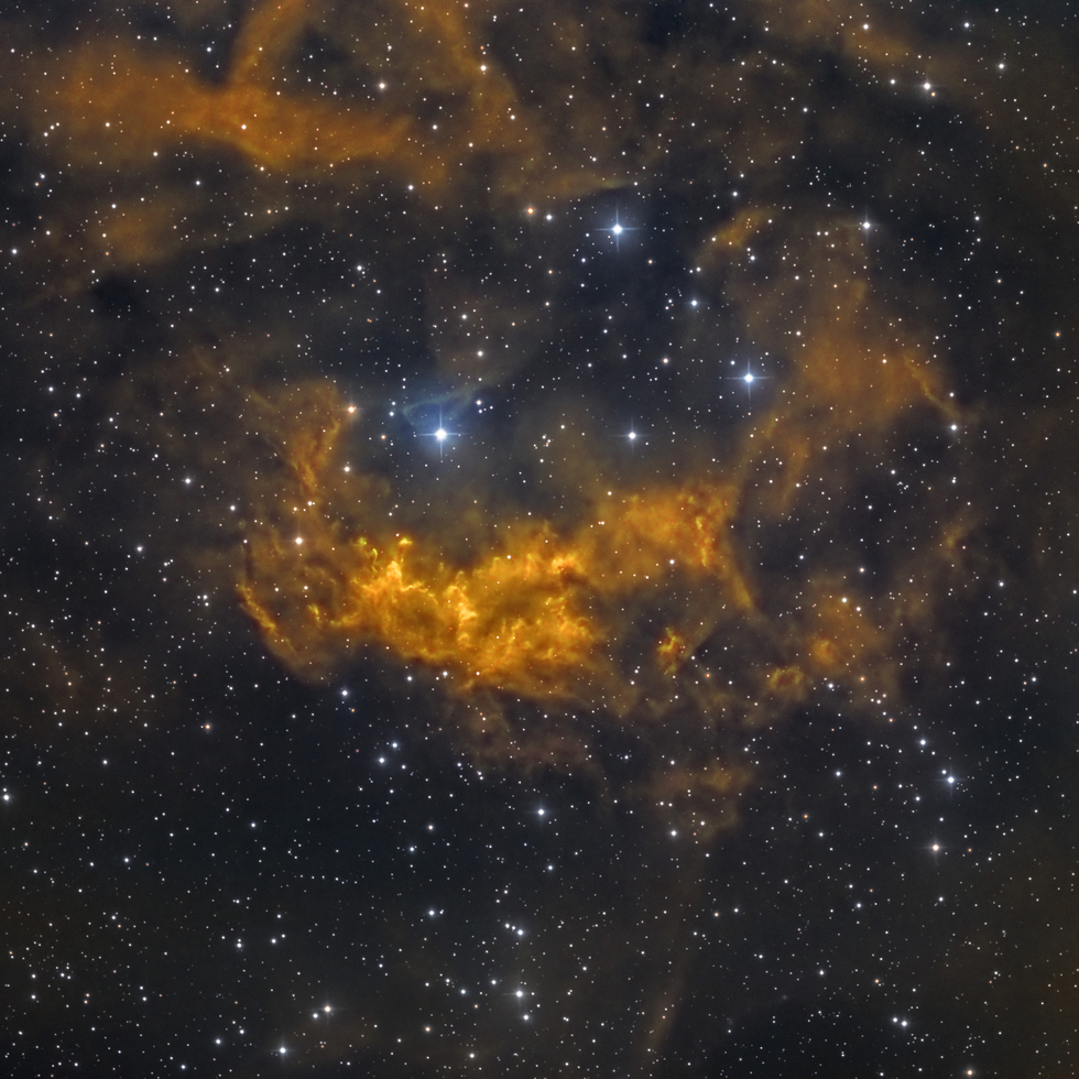 Lower's Nebula, Sh2-261