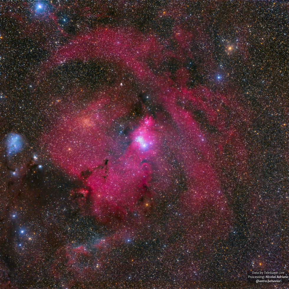 Cone Nebula and Surroundings