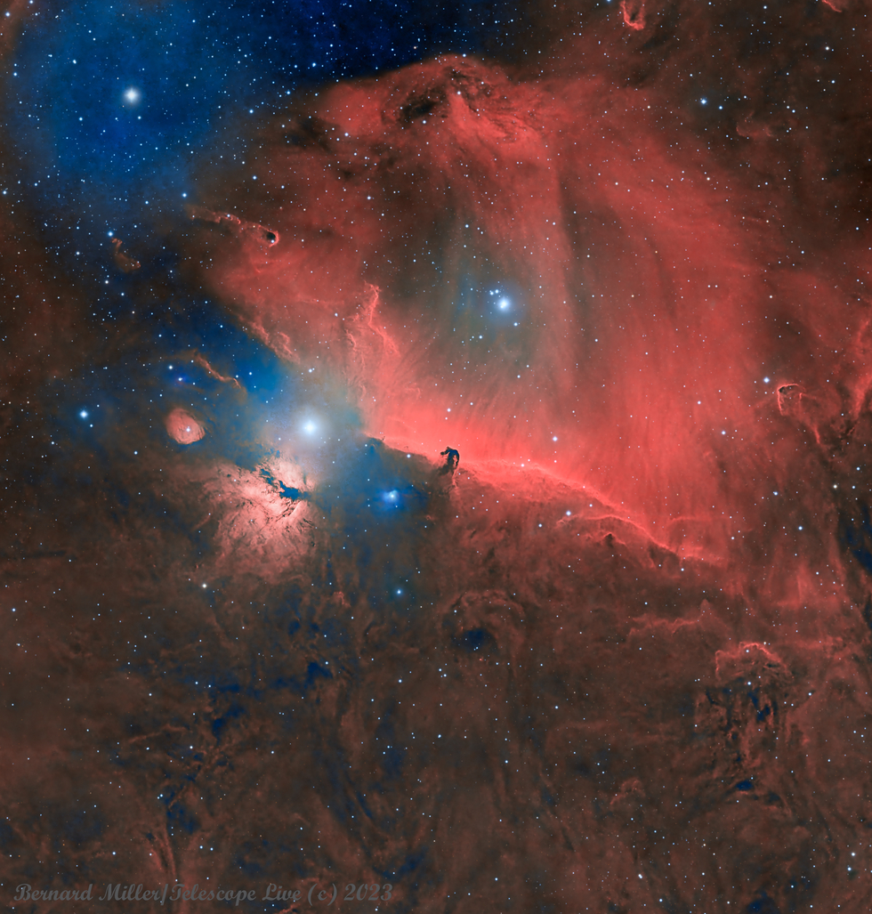 The Horsehead Nebula - HOO