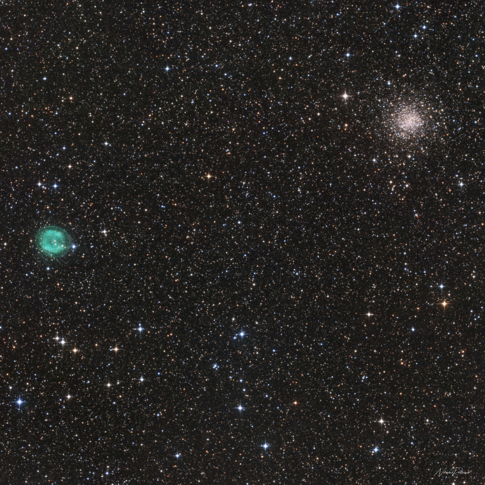 The green planetary nebula (IC 1295)