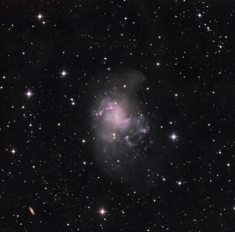 NGC1313