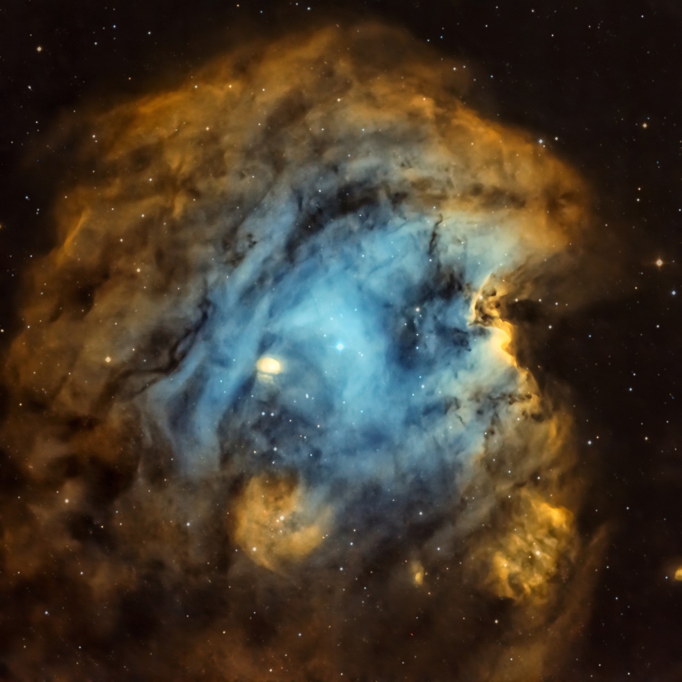 NGC2175