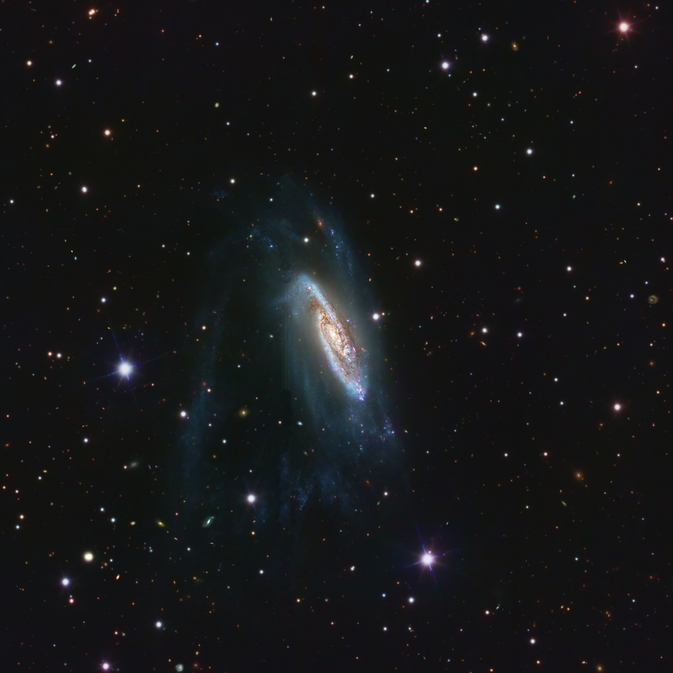 NGC3981