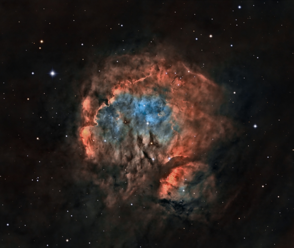 RCW 40 Crop SHOmod