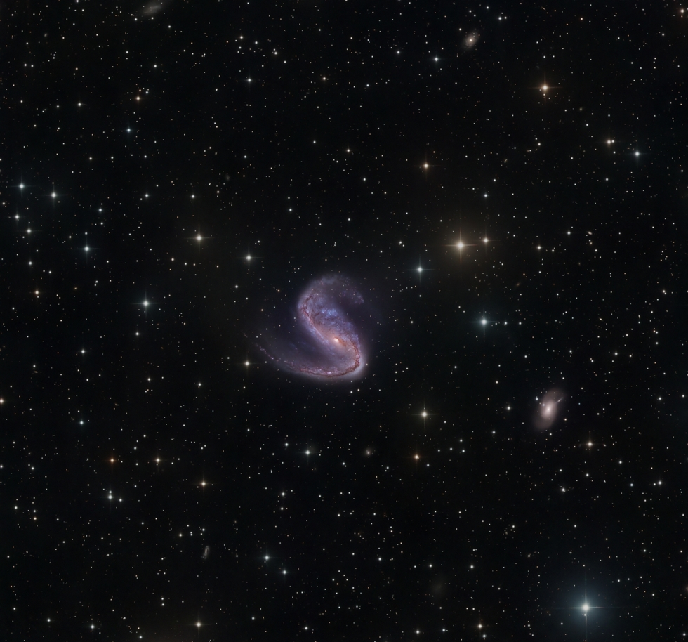 Cobra and Mouse (NGC 2442, 2443)