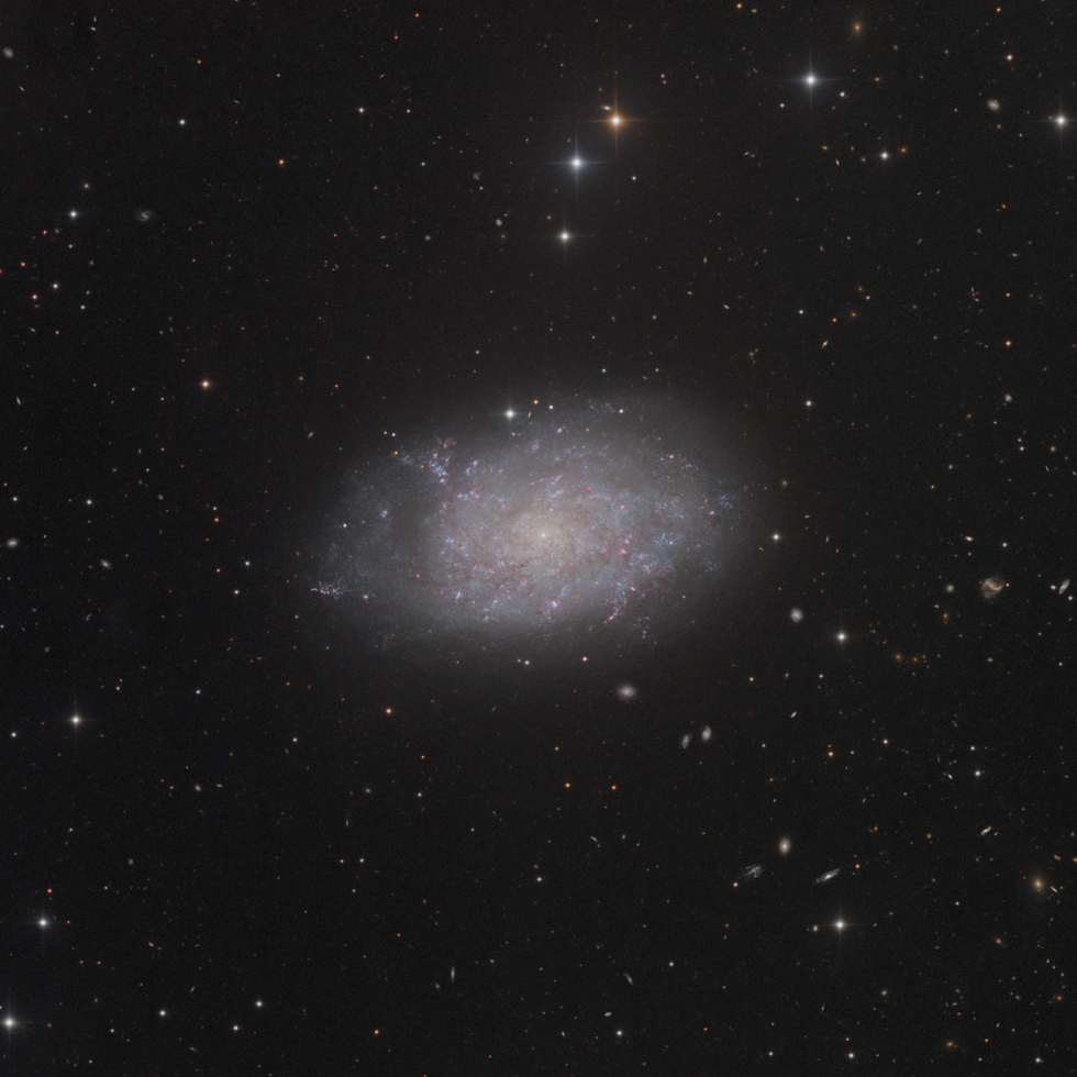 NGC 7793