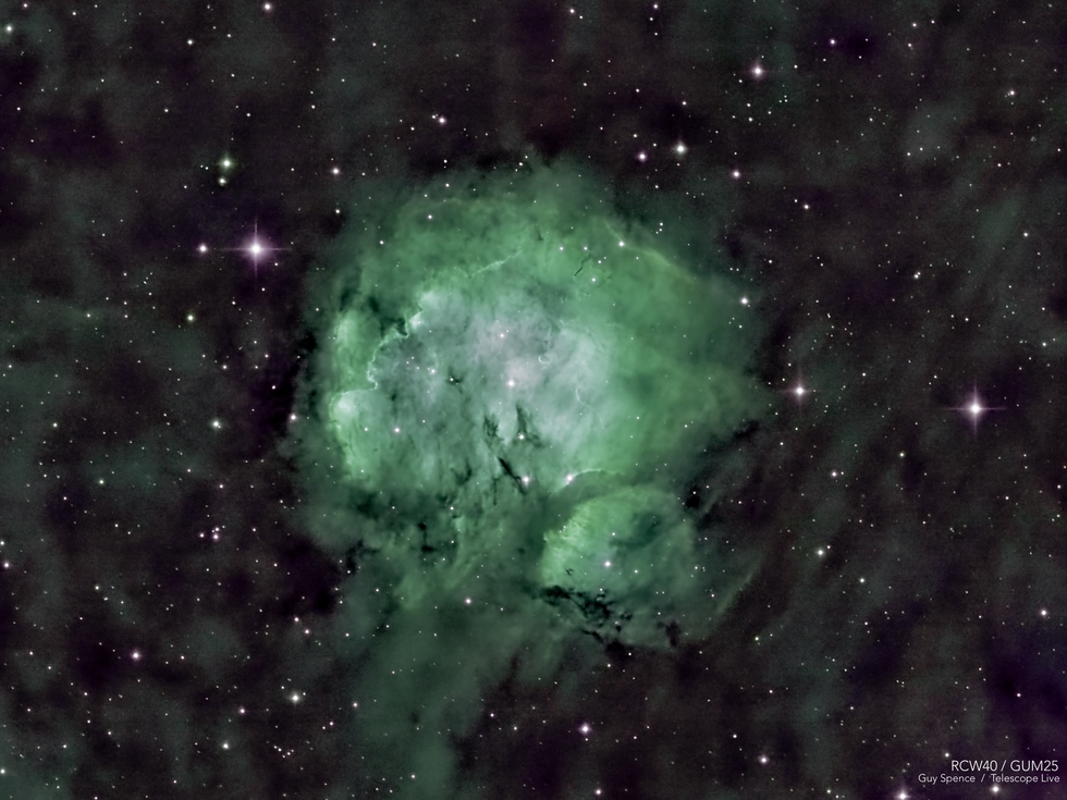 RCW40