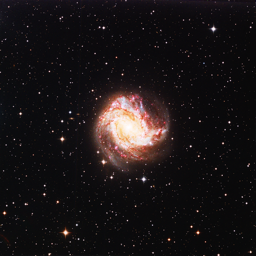 Southern Pinwheel Galaxy