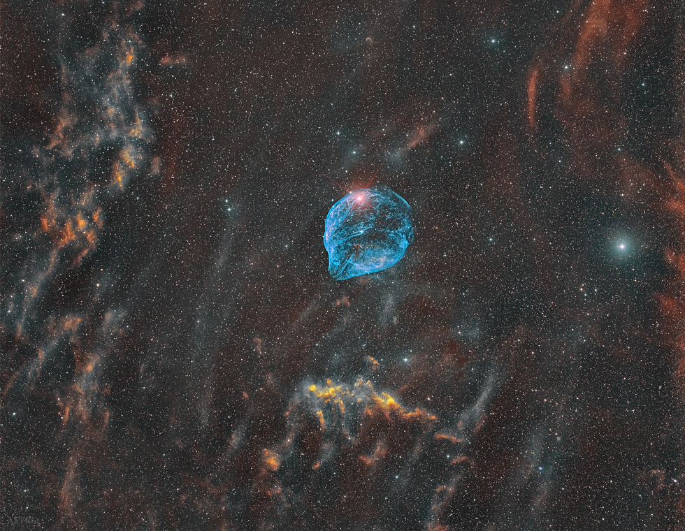 SH2-308 - Dolphin-Head Nebula
