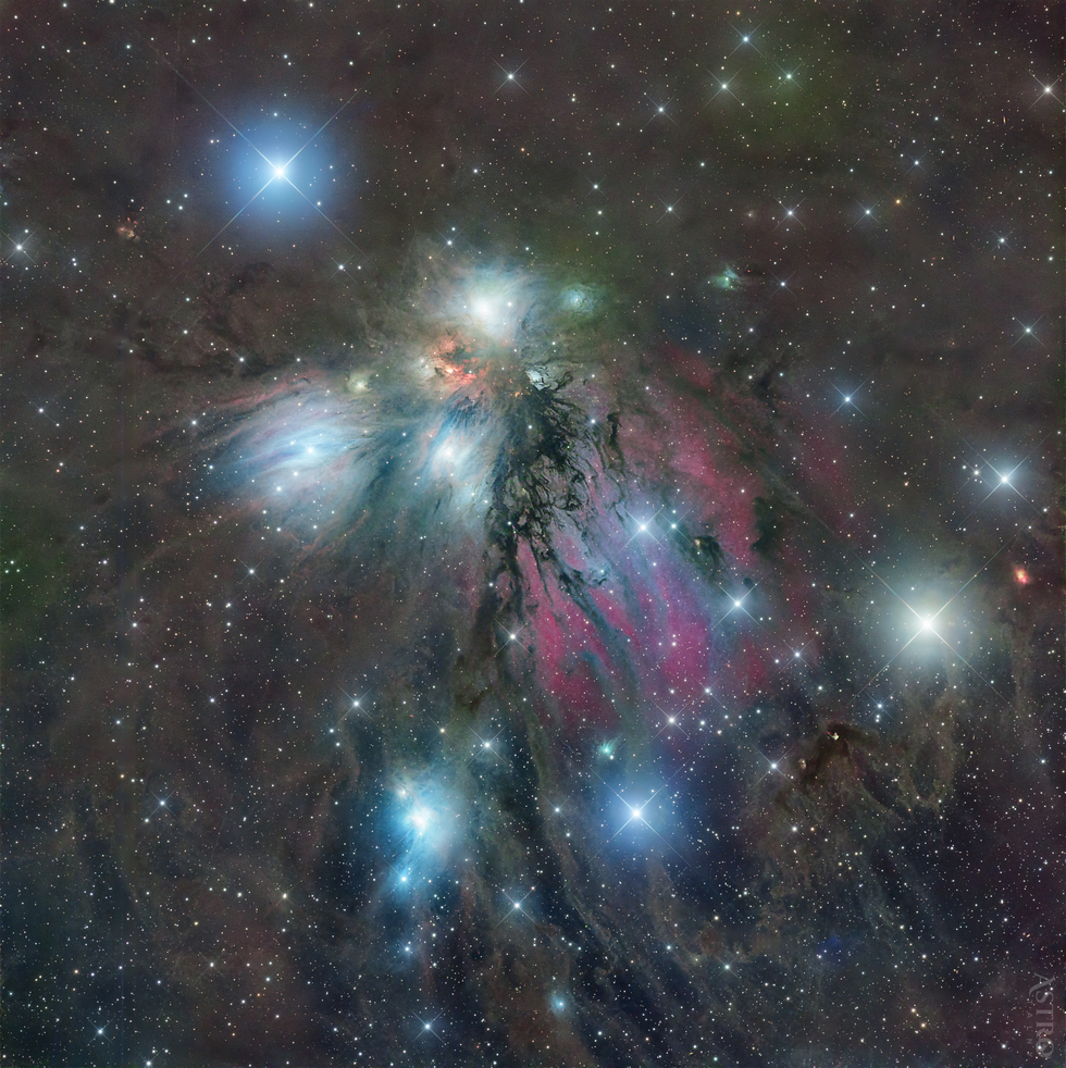 NGC 2170 - Angel Nebula
